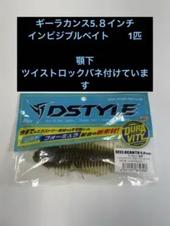 DSTYLE ギーラカンス 5.8インチ インビシブルベイト - メルカリ