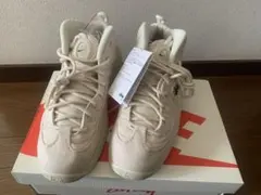 Item thumbnail for item 317d96fb-3d0a-4c25-b525-e6e5b997d892