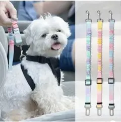 Item thumbnail for item 9ba05fa8-7e7b-4907-b133-e3024d8c2143