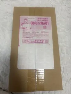 2026年最新】ポケモンセンターヒロシマスペシャルBOXの人気アイテム
