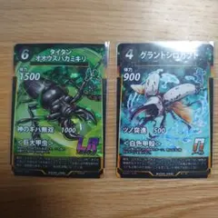 タイタンオオウスバカミキリ