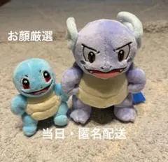 ポケモン カメックス ゼニガメ3体 ぬいぐるみ ポケパークカントー 夏