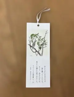 日本聖書協会 鳥のイラスト しおり