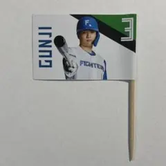 北海道日本ハムファイターズ　郡司裕也　GUNJI　選手グルメフラッグのサムネイル