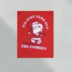 ▪️15s SNOOPY ビンテージ tシャツ サンタクロース クリスマス 料理