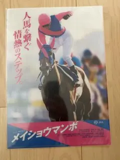 ヒーロー列伝 クリアファイル メイショウマンボ JRA ヒーロー列伝 クリアファイル メイショウマンボ - メルカリ