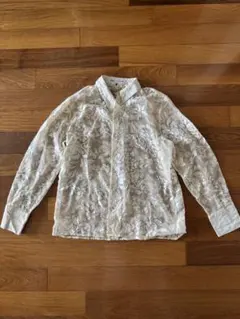 ZARA シアー 花柄 刺繍 長袖 ブラウスのサムネイル