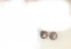 みこ様専用ページ