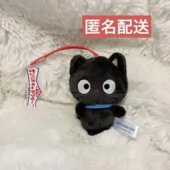 산리오 キャラクター大賞 2025 ぬいぐるみ マスコット チョコキャット