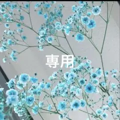 6/6 購入　Tシャツ　 さくらさま専用ページ