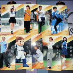 始球式カード 2025