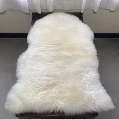 Item thumbnail for item 75f4c3af-6848-4b84-bfe1-362c197d837d