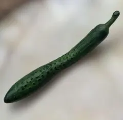 Item thumbnail for item b6be816f-189a-403b-9d4d-0418ddef82a2