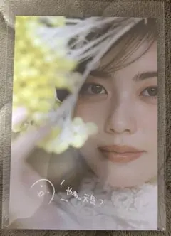 Item thumbnail for item ab901d52-405d-4333-bffd-dc1d7d811deb