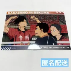 ハイキュー！！ トレーディングスナップカード 烏野 音駒