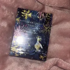 クレ・ド・ポー ボーテ オンブルクルール クアドリ 501