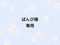 ばんび様専用ページ