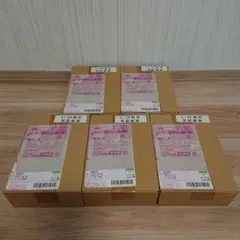 新品未開封 ポケモンカードゲーム バトルパートナーズ 初版 5boxセット