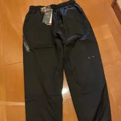 Item thumbnail for item ac9b5d1c-6dfb-43cb-bc21-580e76c3e9e0