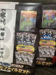 本日発送　ポケモンカードゲーム ブラックホワイト　カードファイル　2個セット