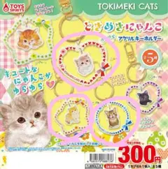 Item thumbnail for item 098a8b72-ed84-4373-a4b5-ce3a5b252ae5