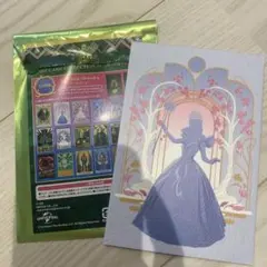 ウィキッド アートカードコレクションwicked