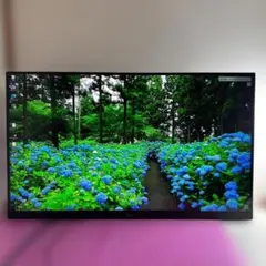 LG WQHD 165Hz 31.5インチ 1msのサムネイル