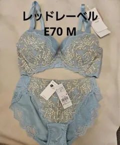 251859 トリンプ　レッドレーベル　ブラジャー　ショーツ　セット　e70