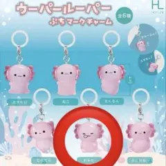 【即決⭕️】ウーパールーパーぷちマークチャーム おねむ