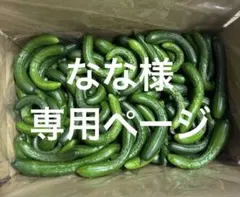 なな様　専用ページ