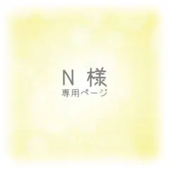 N様 専用ページ