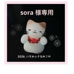 (sora様専用)