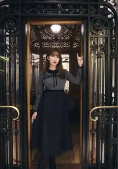 2026年最新】garnier pleated dressの人気アイテム - メルカリ
