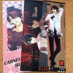 CARNELIAN BLOOD」EROSION トキシン くじ クリアファイル - メルカリ