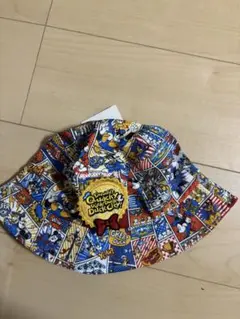 新品　ディズニーリゾート　パルパルーザ　バケハ