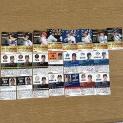 値下げ中、2024 カルビー　プロ野球チップスカード　22枚