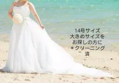 アロヒナリノ ウェディングドレス & パニエ