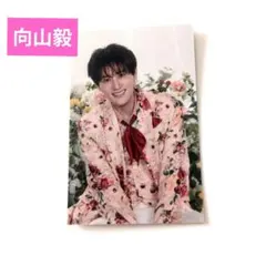 2026年最新】向山毅 写真の人気アイテム - メルカリ