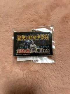 滝澤夏央　アクリルキーホルダー　サムネイル　パテレ　ライオンズ