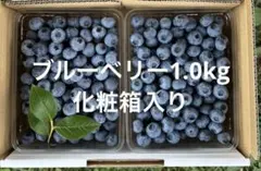 ブルーベリー1.0kg クール便　化粧箱入りのサムネイル