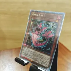 Item thumbnail for item 705fe7a0-461d-454e-abff-5d4d10e8bd28