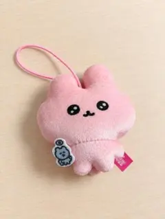 チェゴシム　ぬいぐるみ　マスコット