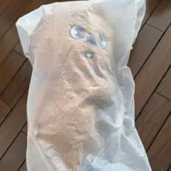 Straykids POPUP SKZOO BAG ハンクォッカ