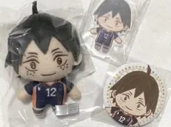 ハイキュー SEGAラッキーくじ 2024 B賞 D賞 E賞 山口忠②