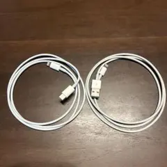Lightningケーブル 2本セット USB-C & USB A