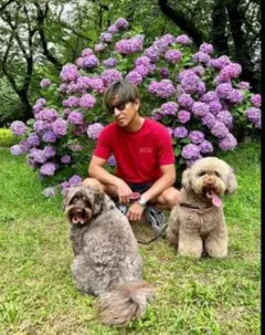 Item thumbnail for item a3d79a5d-321e-41f7-bfbf-ea53b7a4fde5