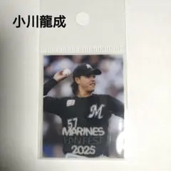 Item thumbnail for item f1233cbf-a870-4697-b091-11ade25130fc