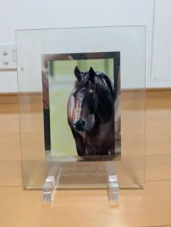 DEEP IMPACT フォトフレーム