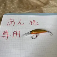 あん様　その他　トップページ