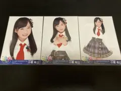 Item thumbnail for item 1cadb2e9-7e9a-45c8-9941-3d6be950fcba